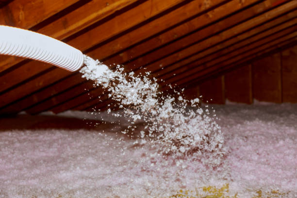 Best Crawl Space Insulation  in Maywood, IL